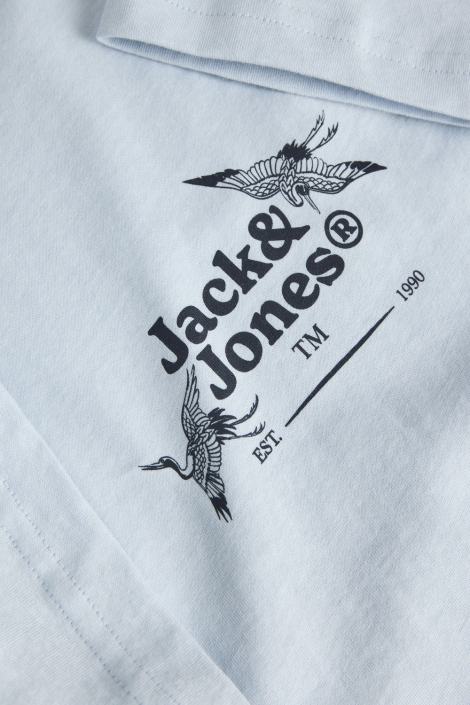 Jack & Jones jorjuka tee ss crew neck stydss25